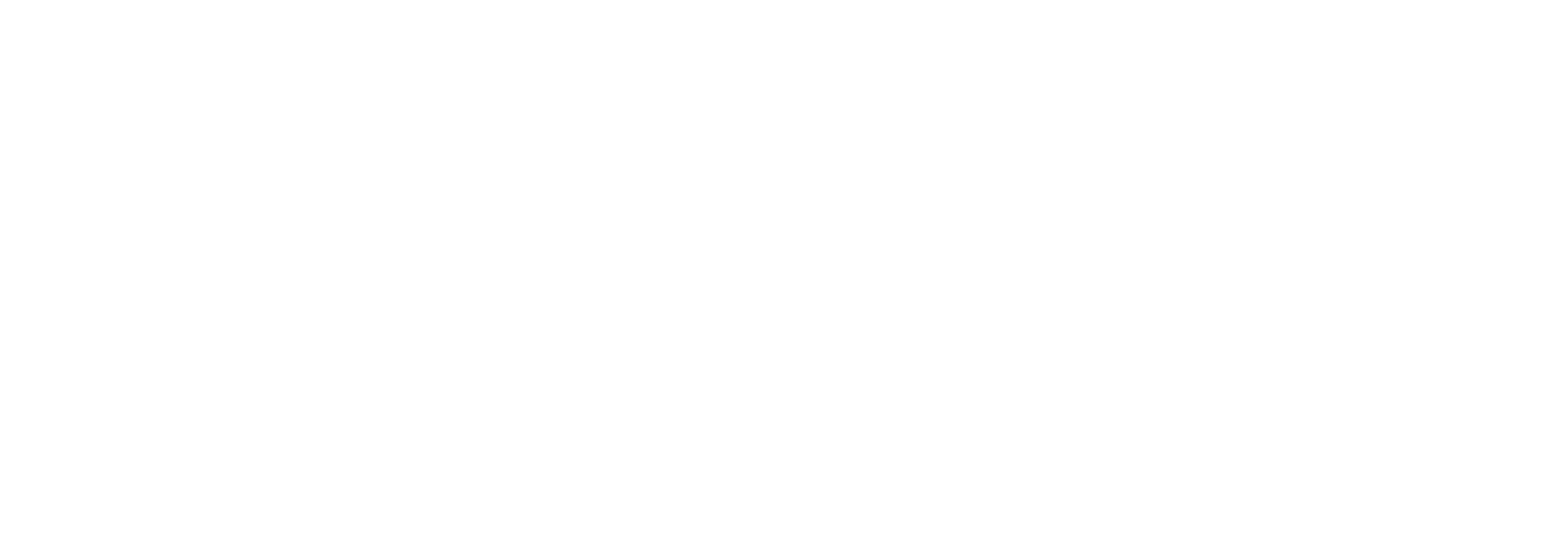 Bina Seguros
